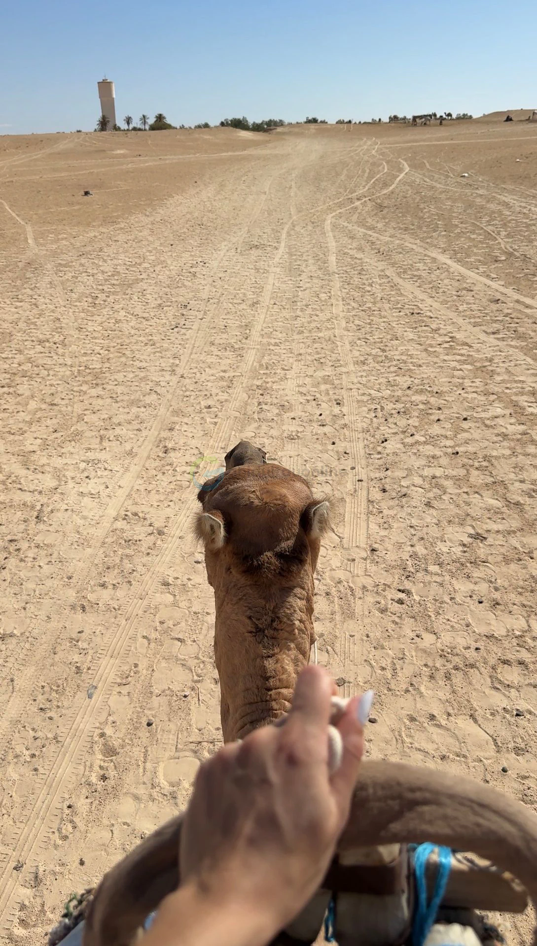 Desert