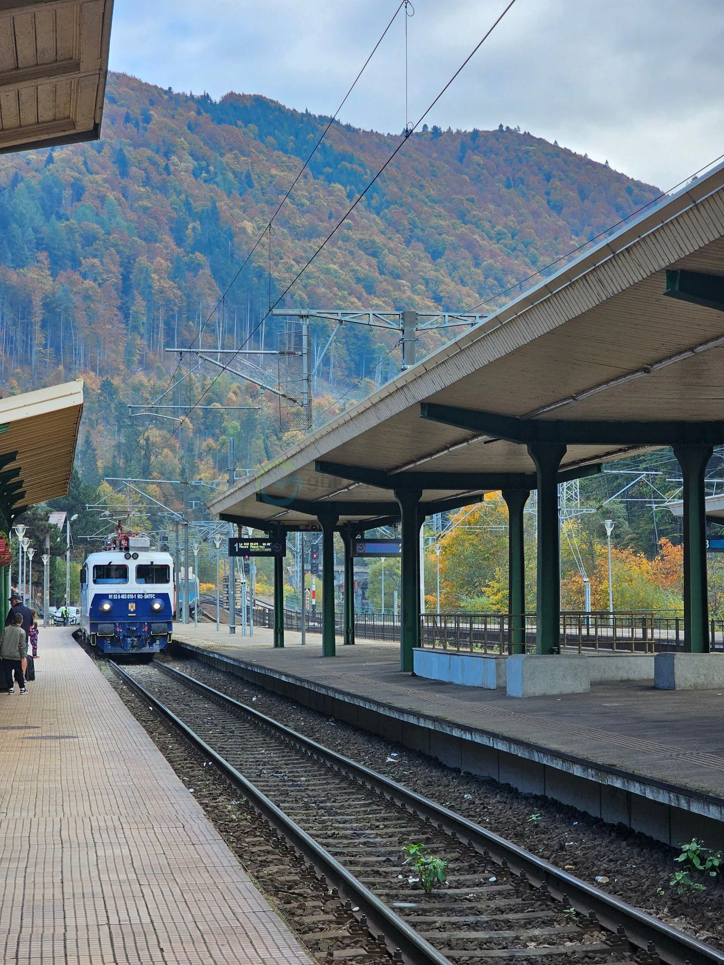 Sinaia Gara regala