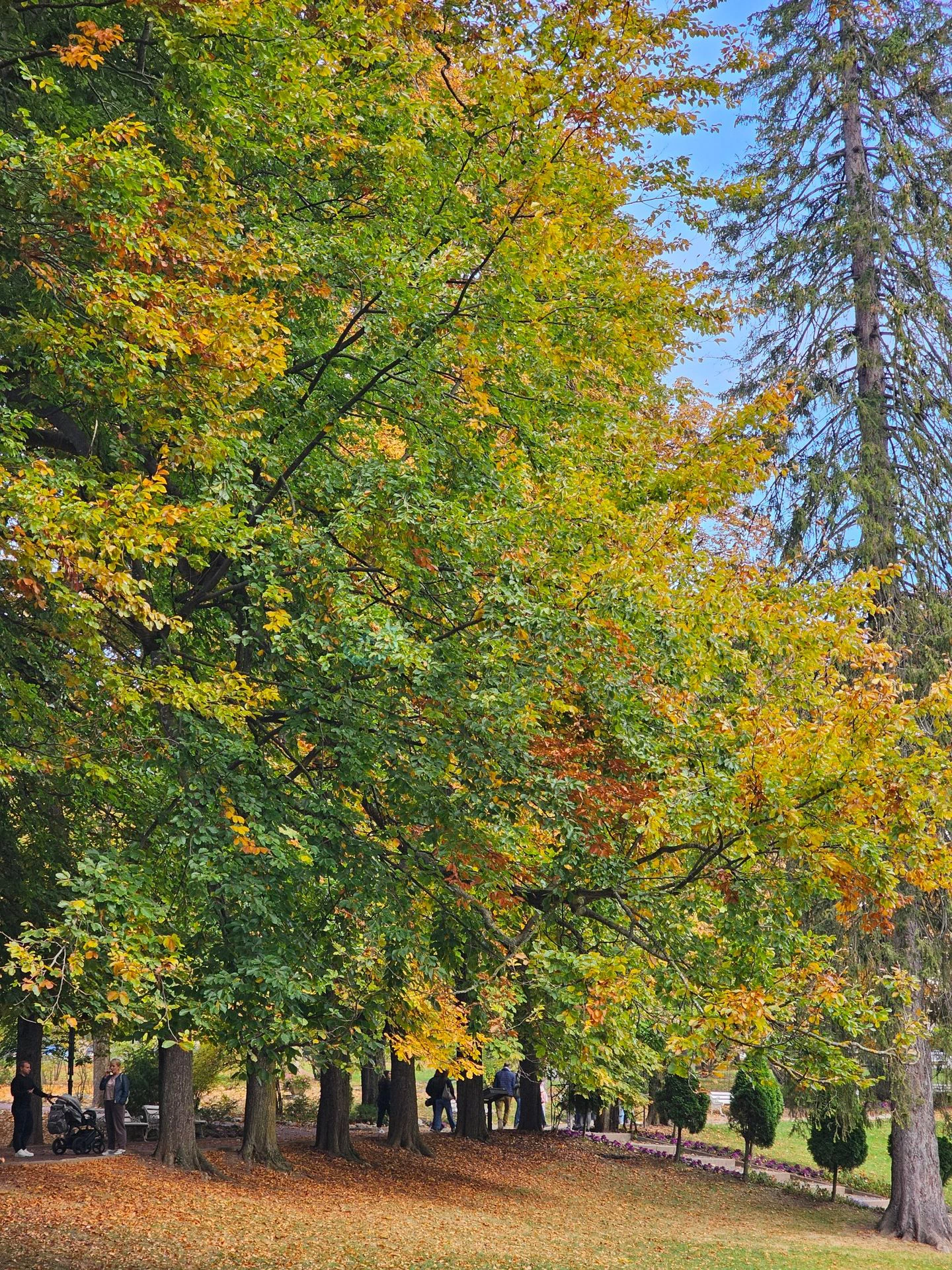 Sinaia Parcul Dimitrie Ghica