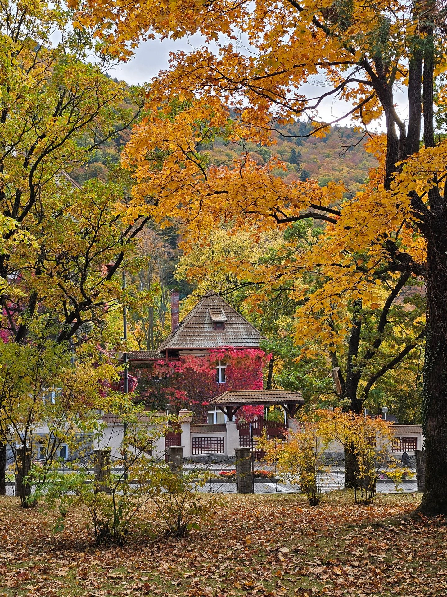 Sinaia Parcul Dimitrie Ghica