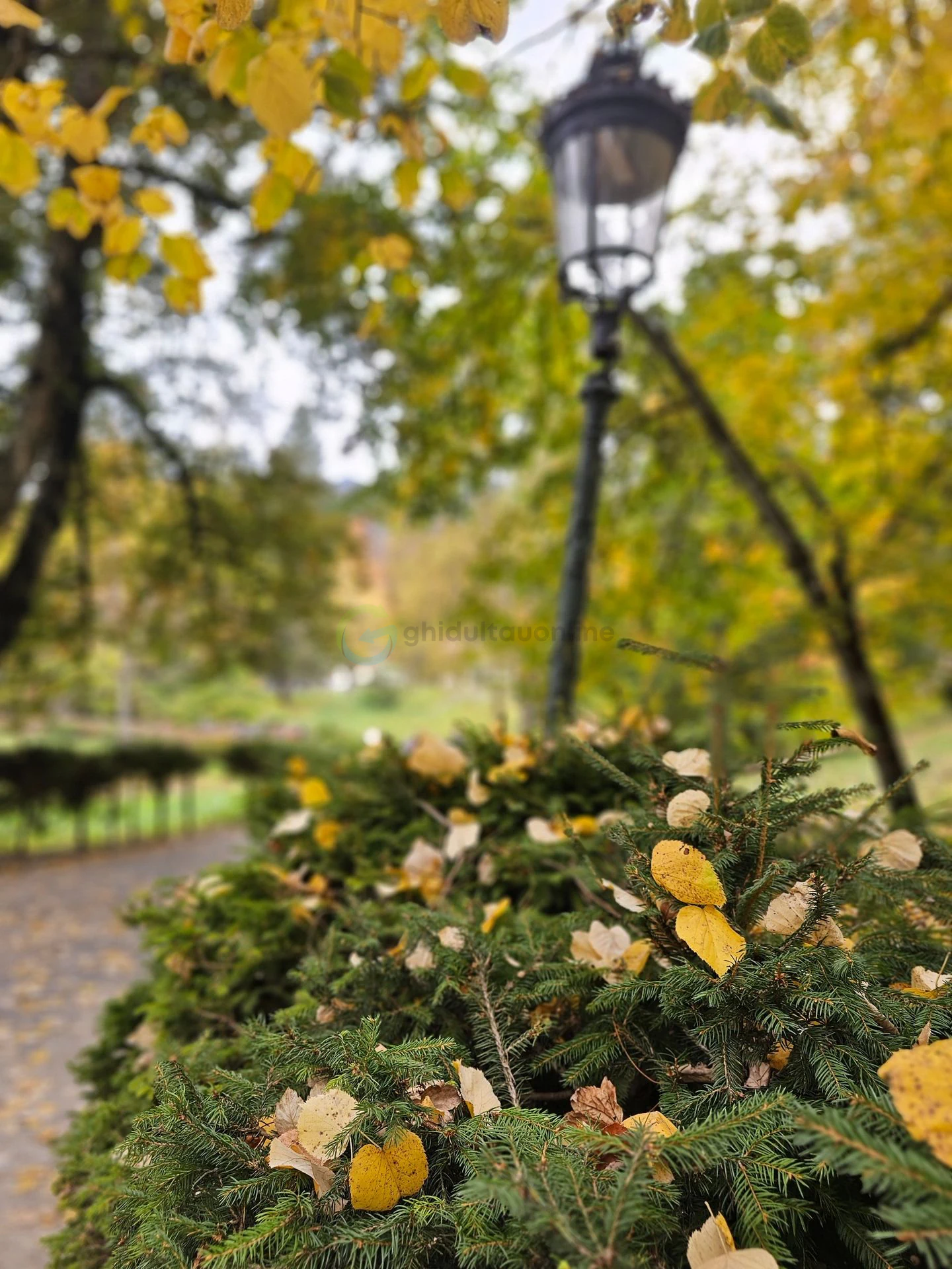 Sinaia