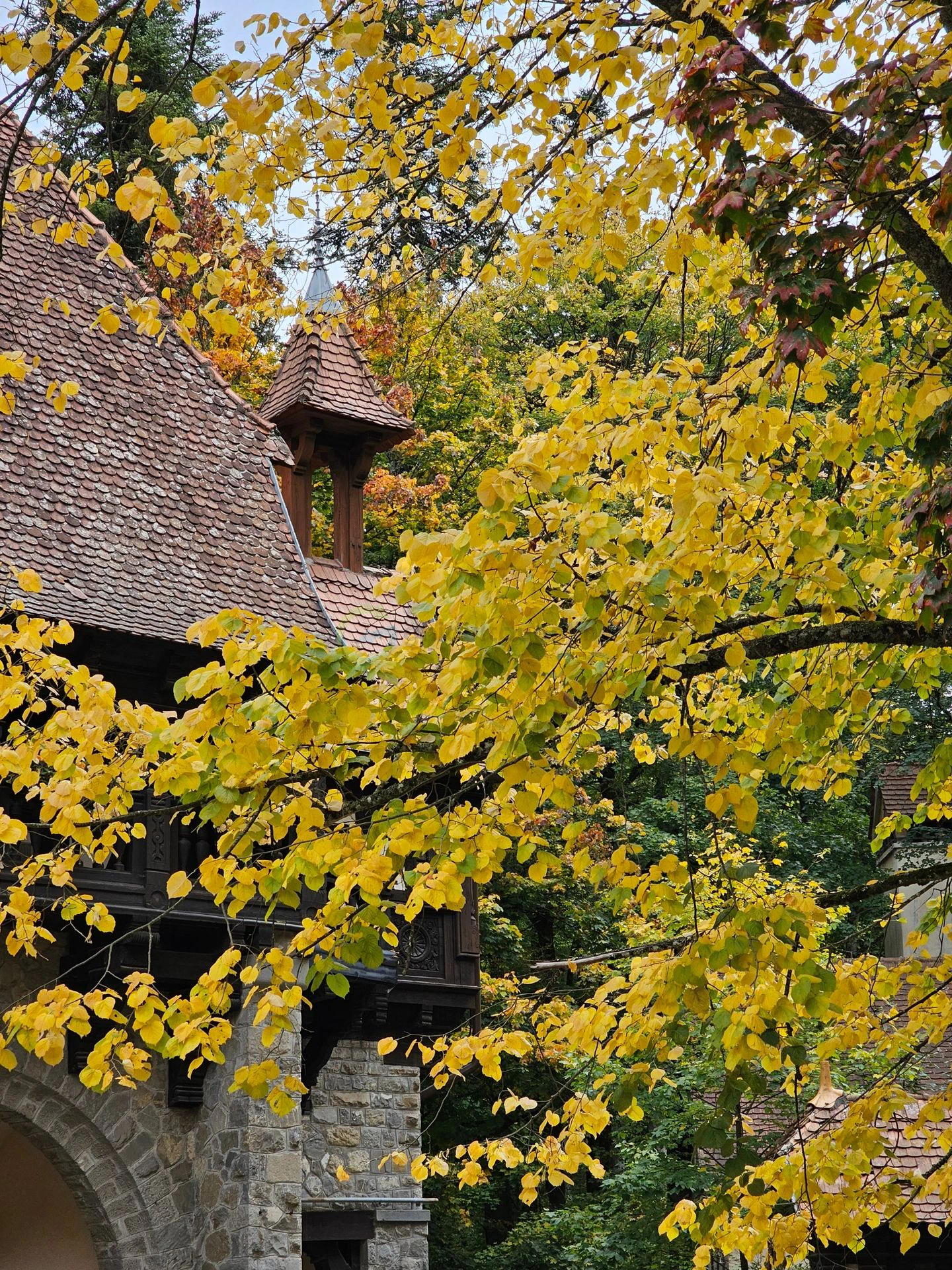 Sinaia