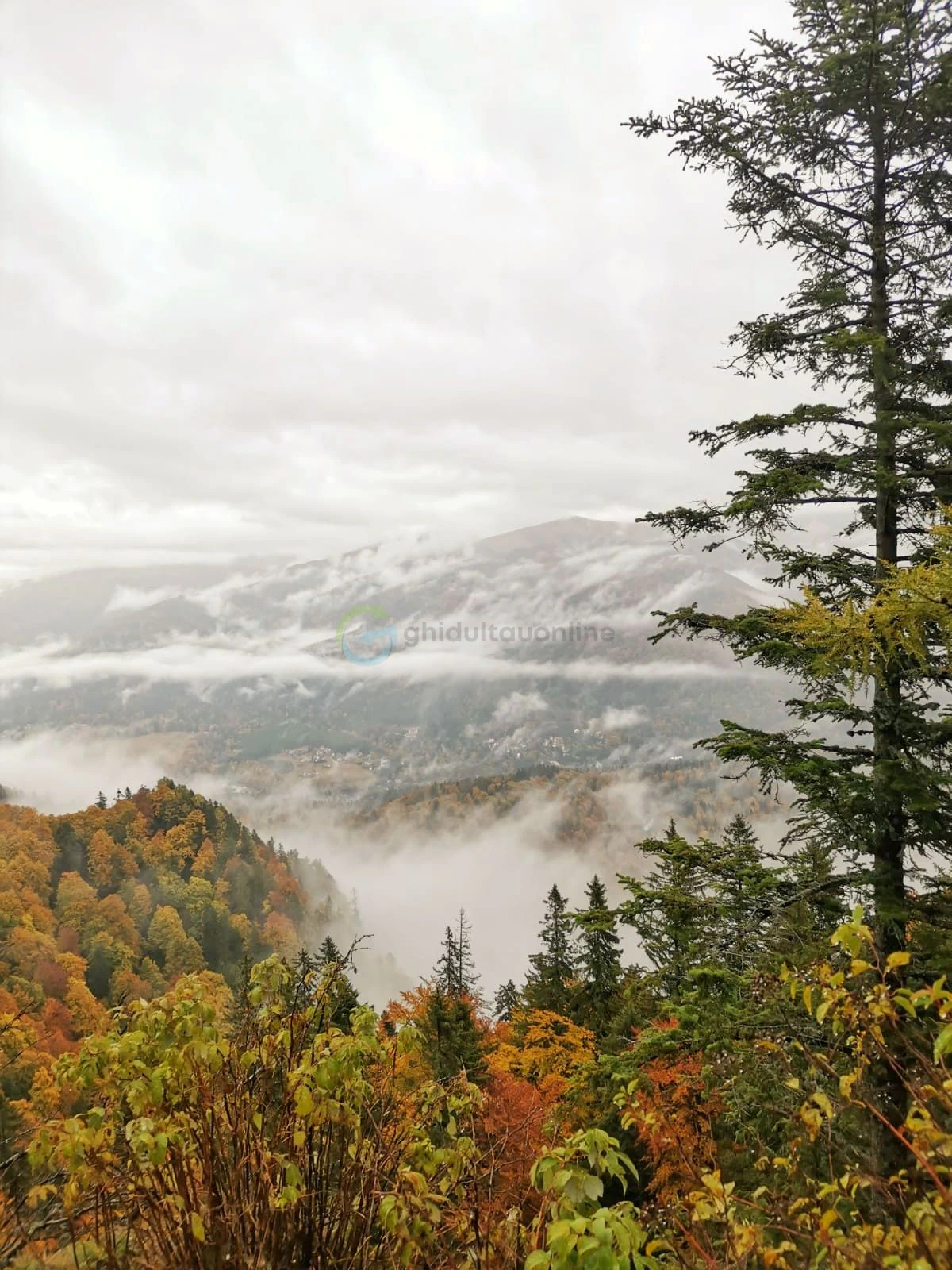 Sinaia
