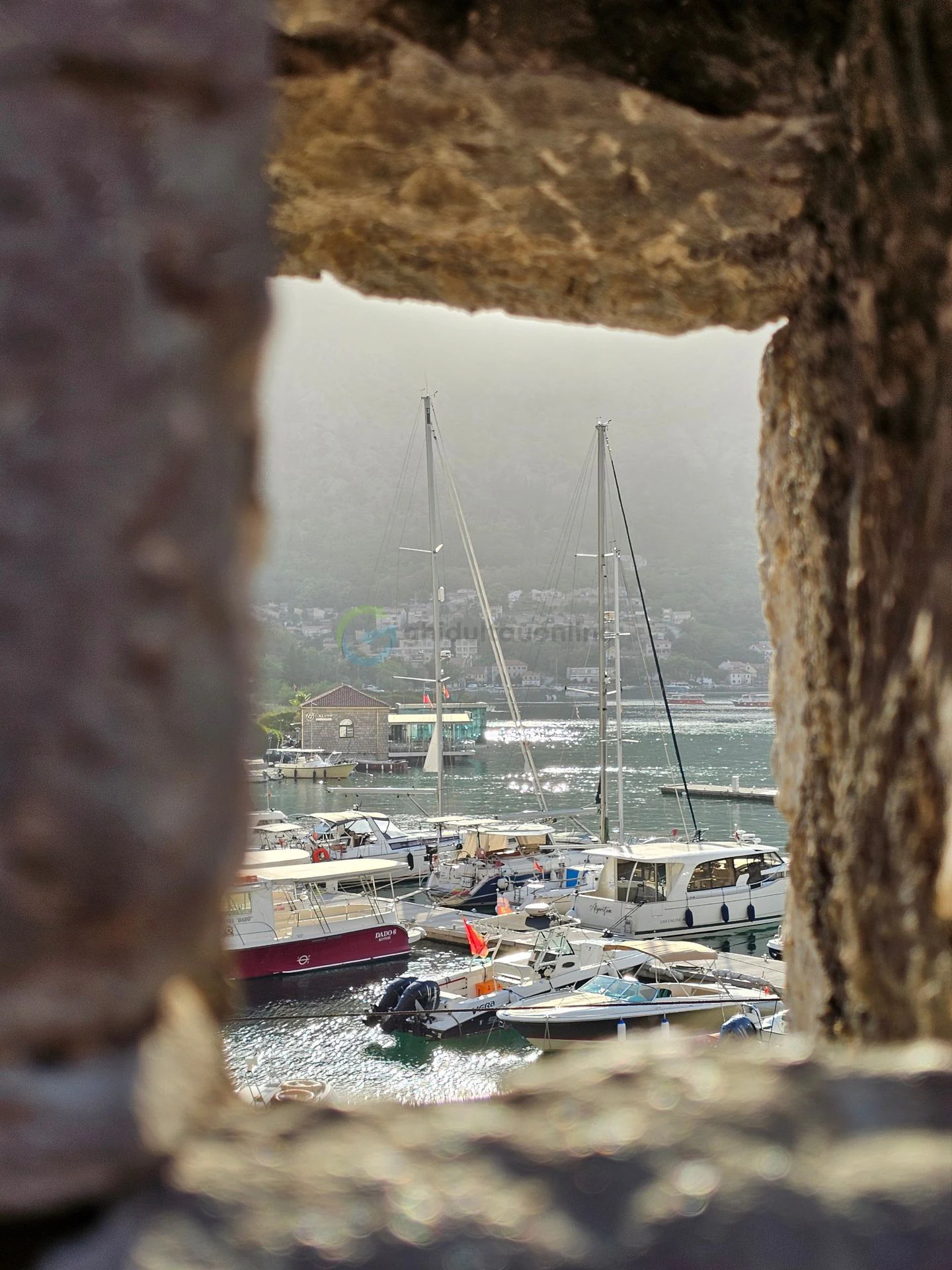 Kotor