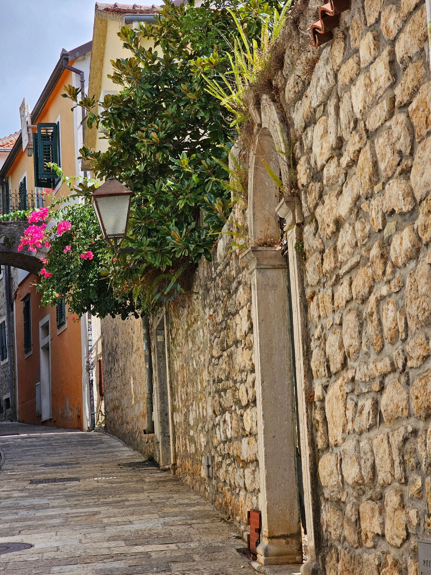 Herceg Novi