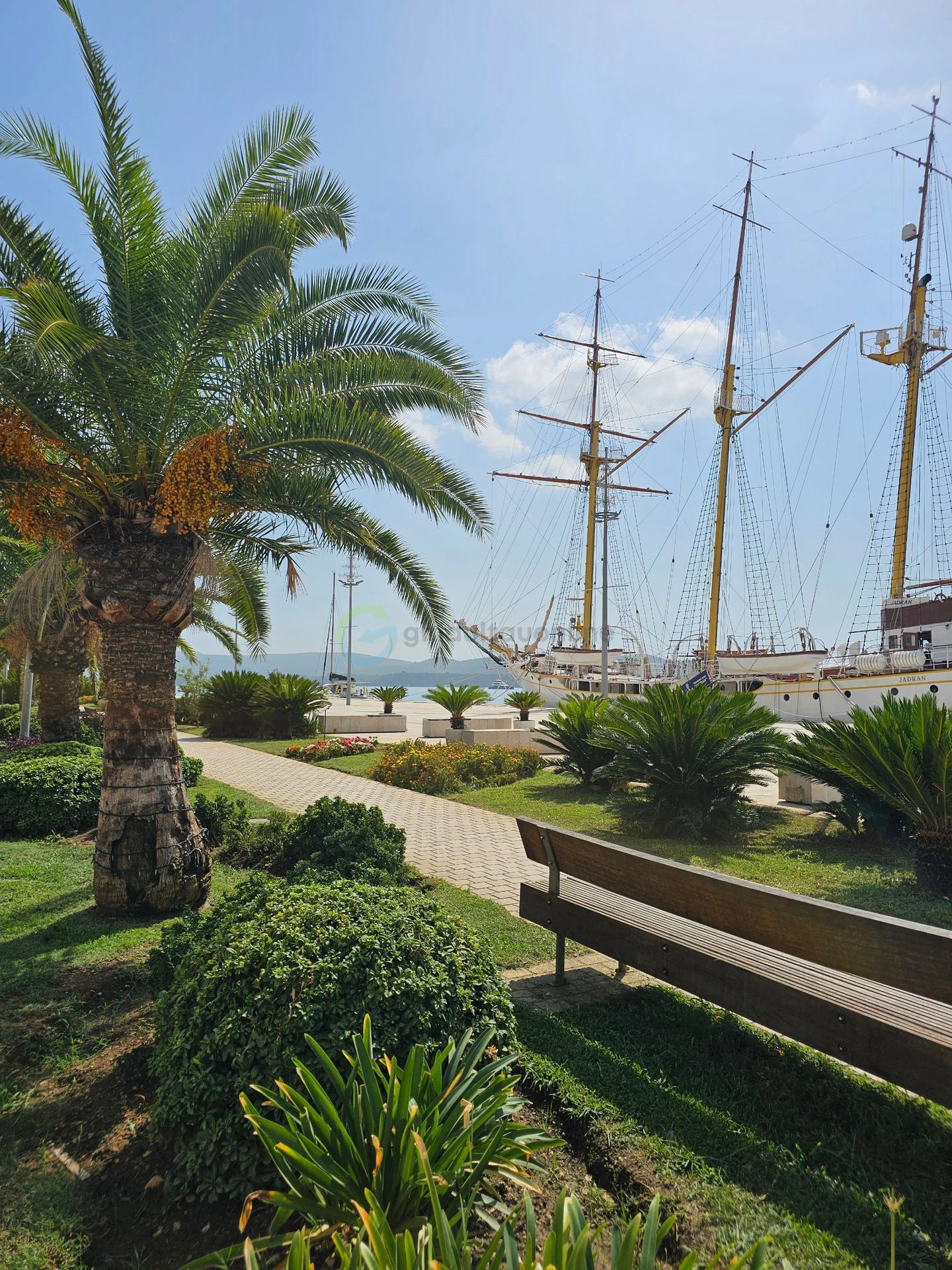 Tivat