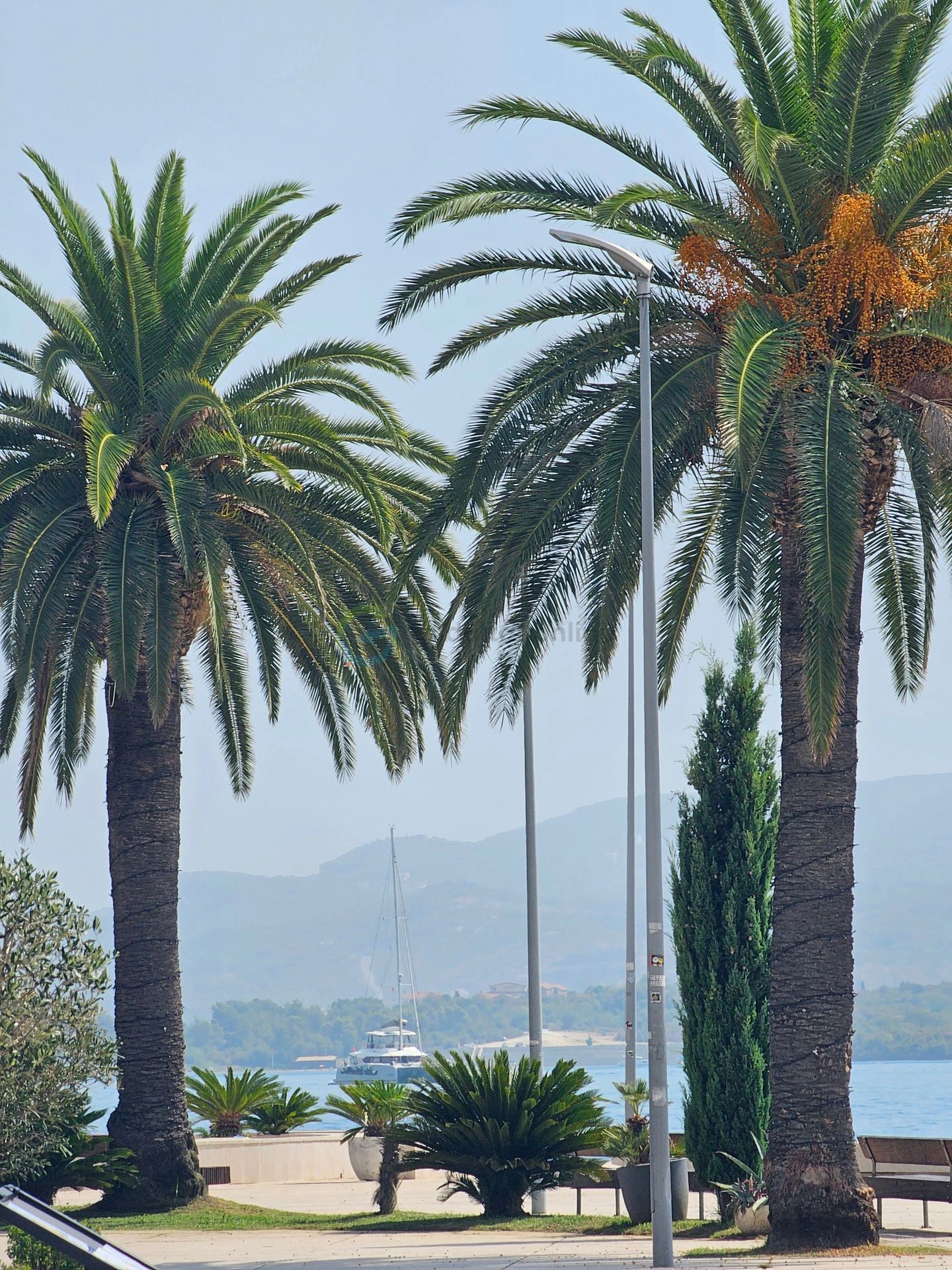 Tivat