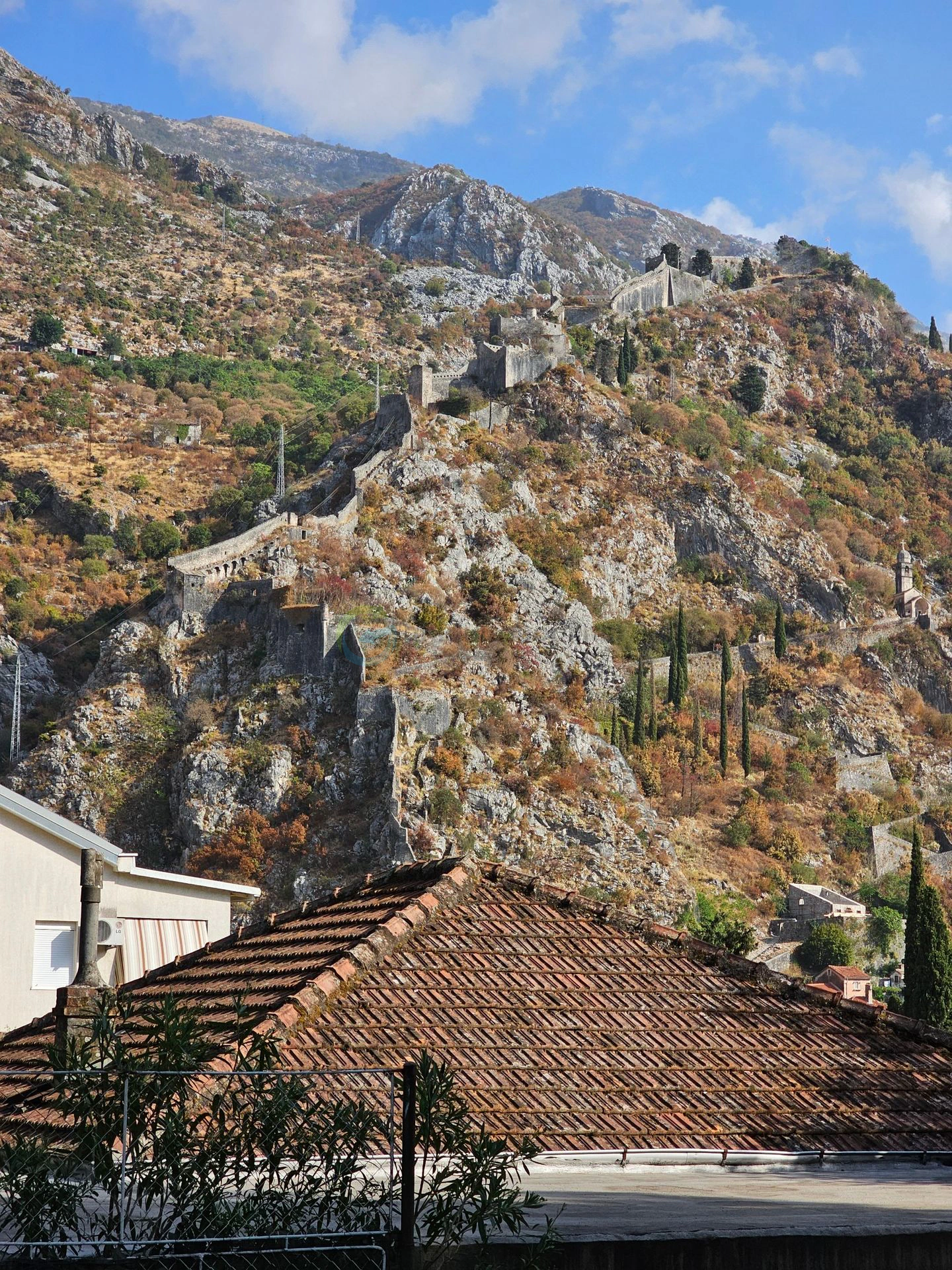 Kotor
