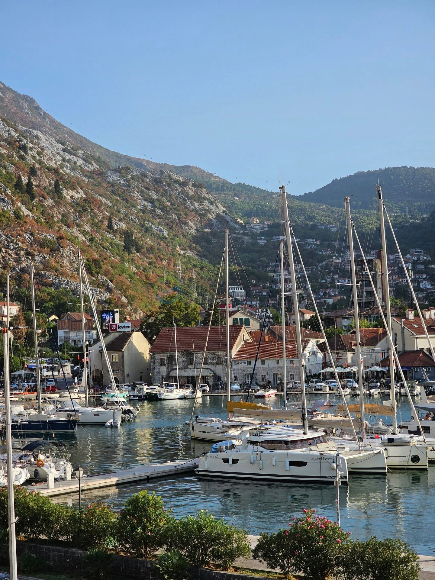 Kotor