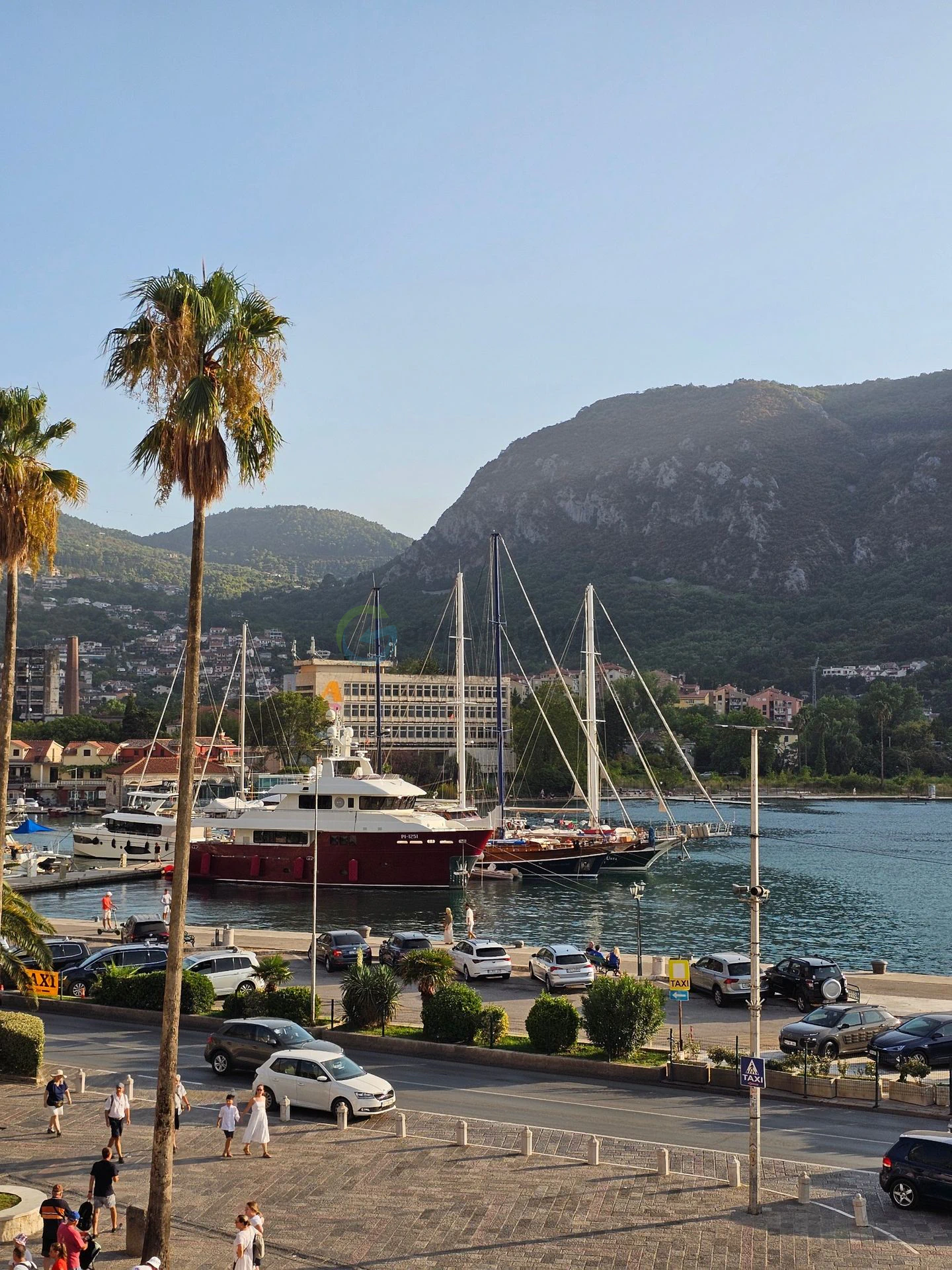 Kotor
