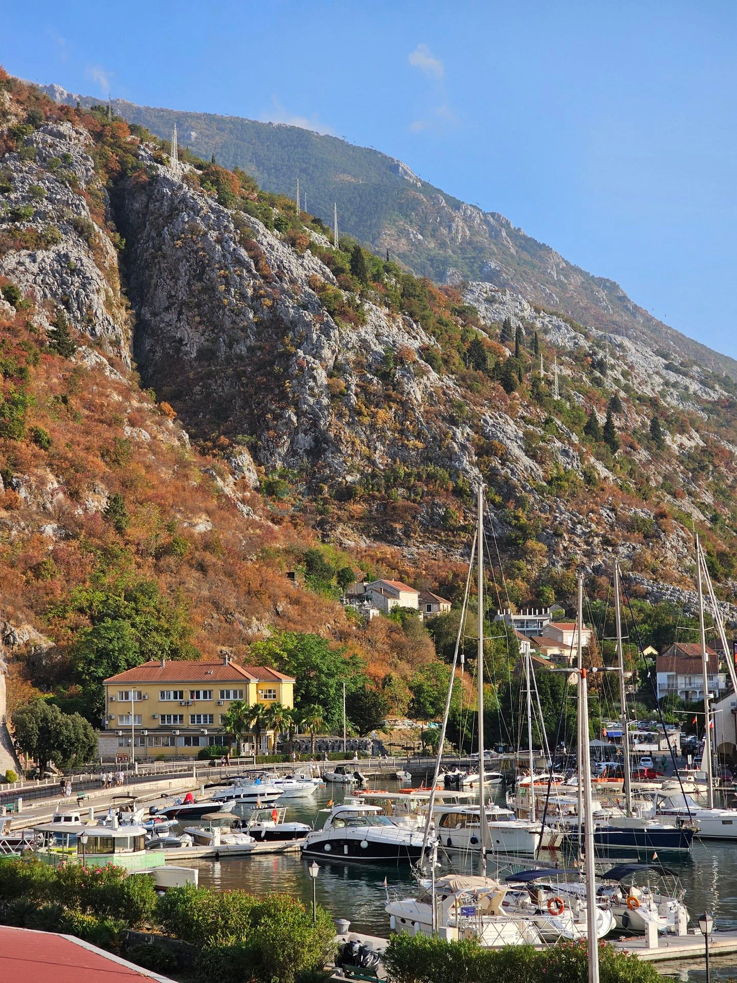 Kotor