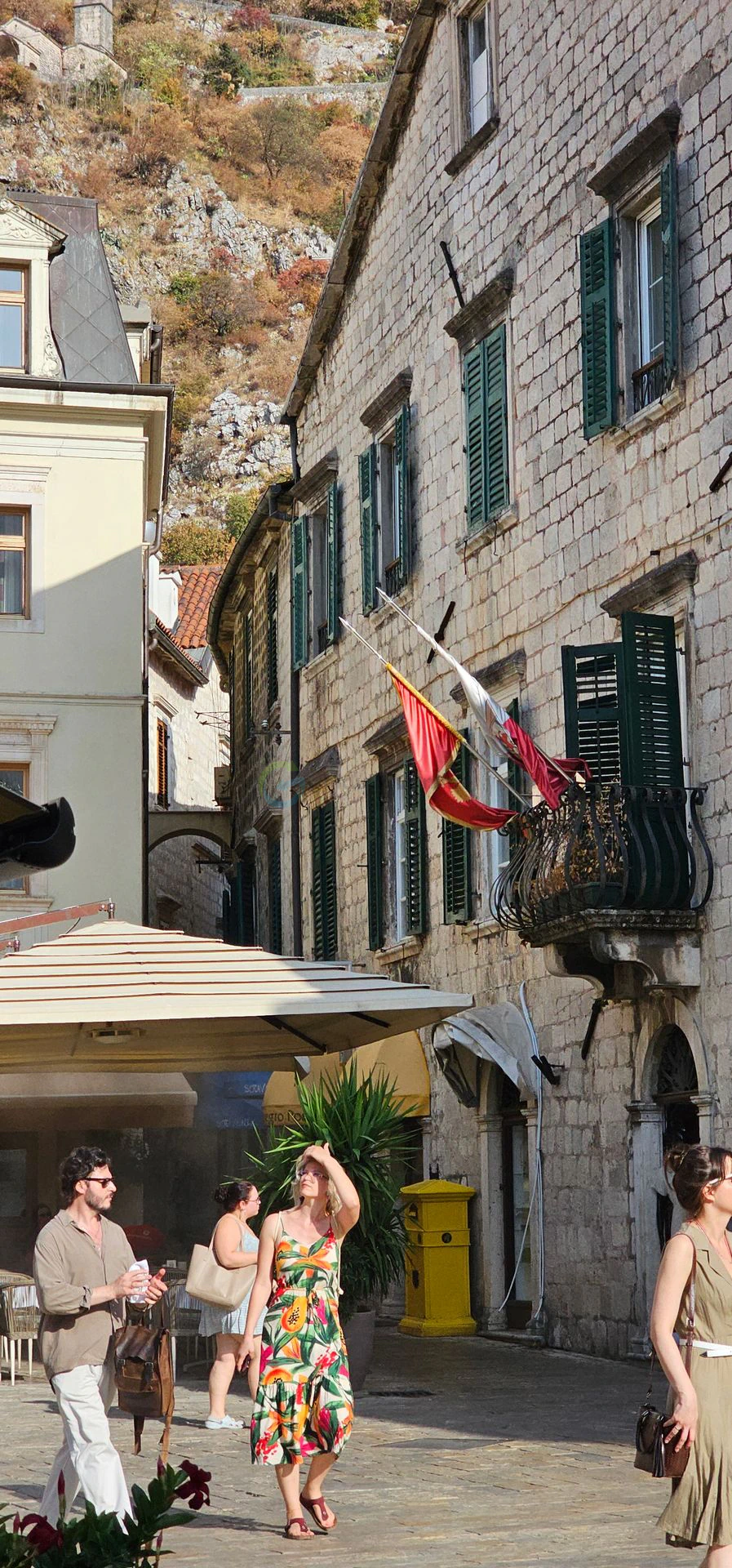 Kotor