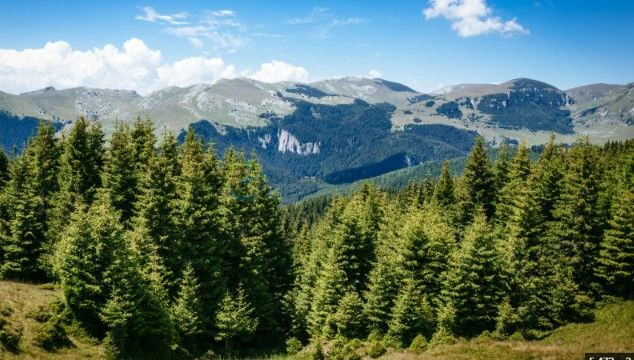 vedere panoramica muntii bucegi