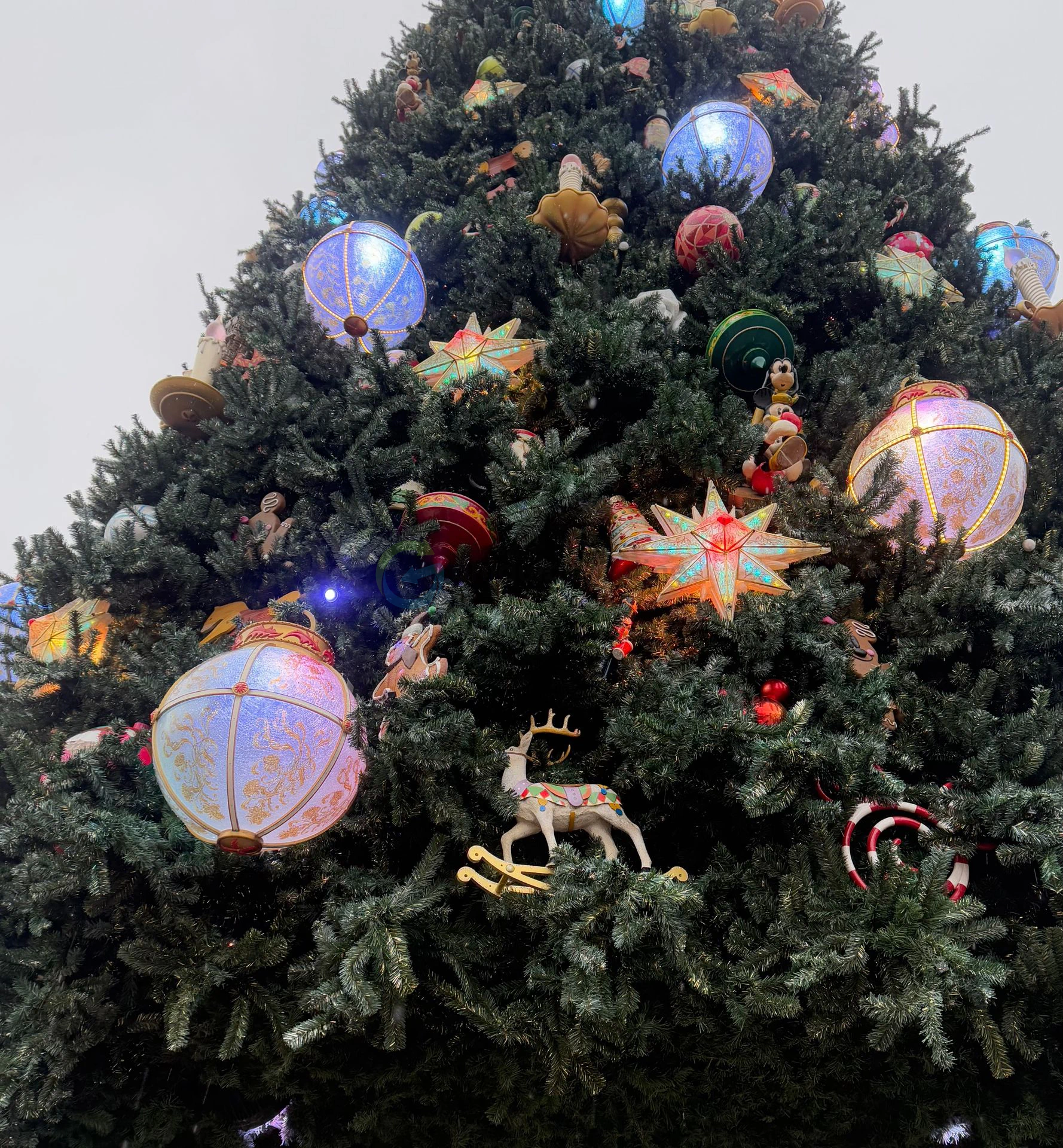 Christmas Disneyland Paris